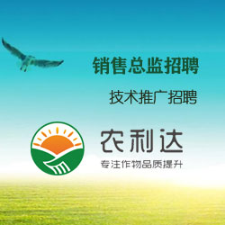 丽江人才网最新招聘