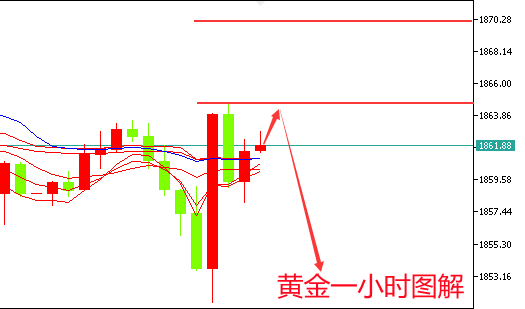 澳门今晚开什么马,实效性解析解读策略_顶级版91.315