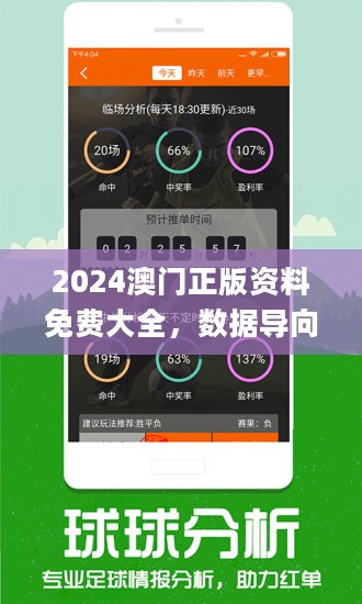 2024年澳门正版免费,可靠执行计划_R版48.112