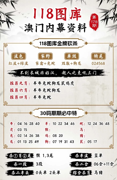 2024澳门王中王100%期期中,实践案例解析说明_DX版66.499