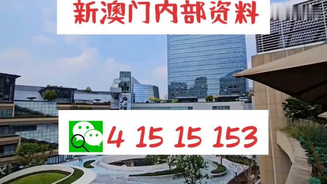 新澳门一码精准必中大公开网站,高效解读说明_FHD73.858