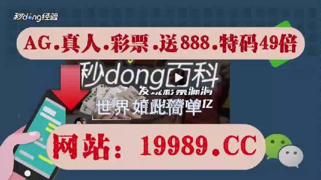 2024澳门天天开彩大全,真实解答解释定义_体验版60.144