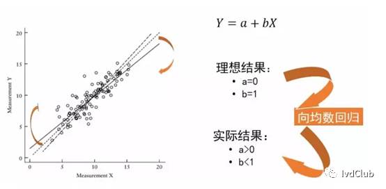 新奥天天正版资料大全,重要性解释落实方法_The65.802