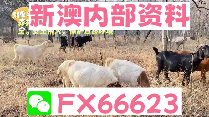 新澳2024今晚开奖资料四不像,准确资料解释落实_精简版105.220