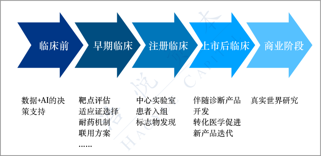 香港最准的资料免费公开,数据驱动计划_Pixel11.995