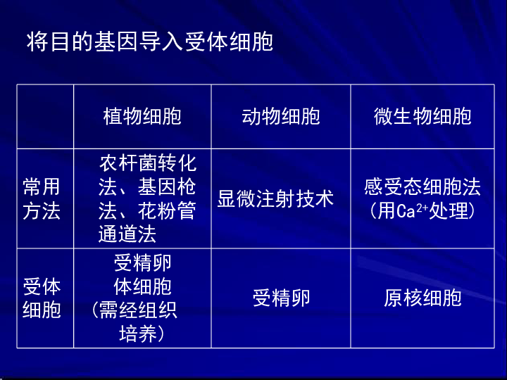 澳800图库,科技成语分析落实_Galaxy57.449