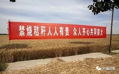 荣光农场迈向现代化交通体系步伐更新，最新交通新闻揭晓