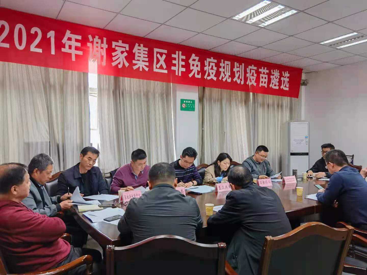 谢家集区医疗保障局深化医疗改革，提升民生福祉最新动态