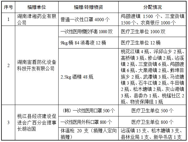 桃江县人民政府办公室最新项目概览与进展