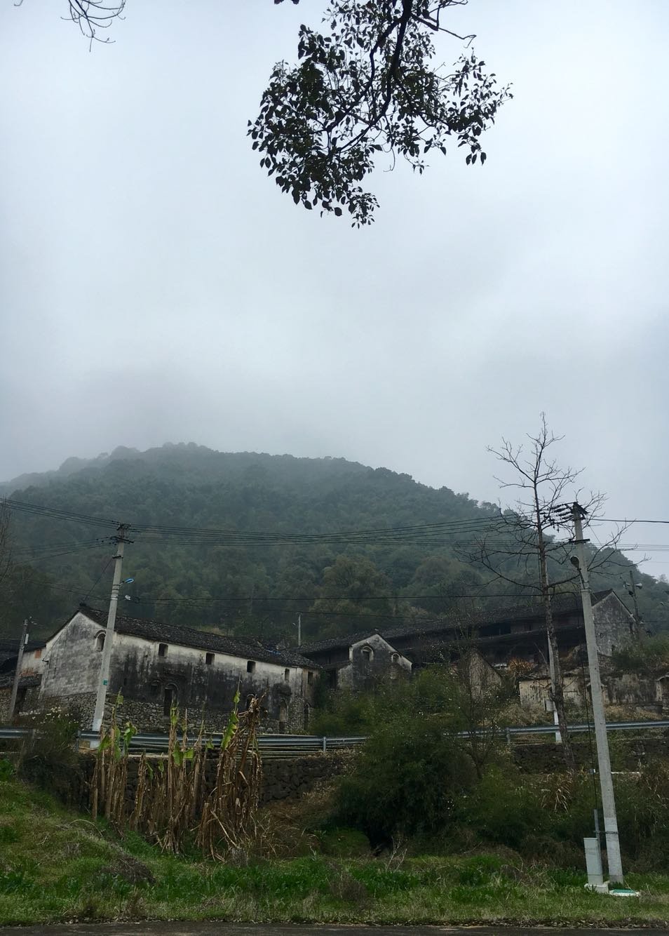 余坝村天气预报更新通知