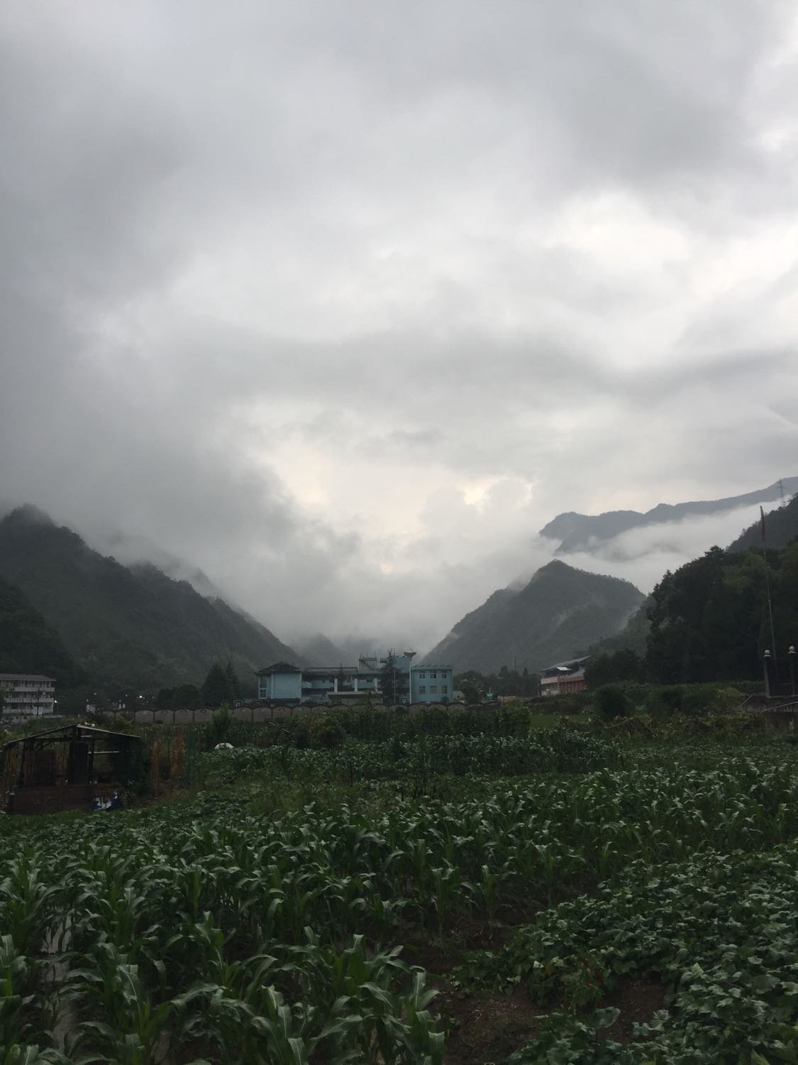 铁峰乡天气预报更新通知