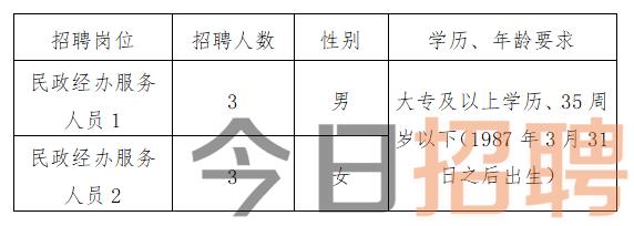 拉萨市信访局最新招聘信息详解