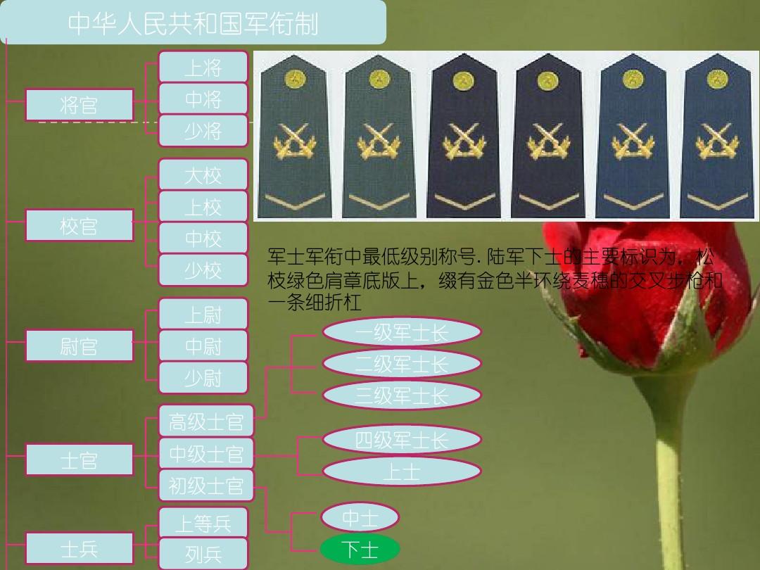 最新军衔改革设计图重塑军事荣誉体系与发展路径