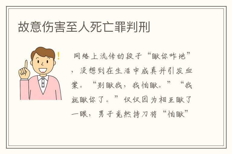 最新故意伤害致死案例深度解析