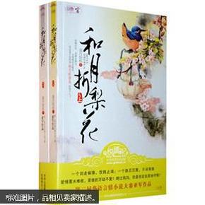 寂月皎皎最新作品揭秘，古代传奇新篇章探索