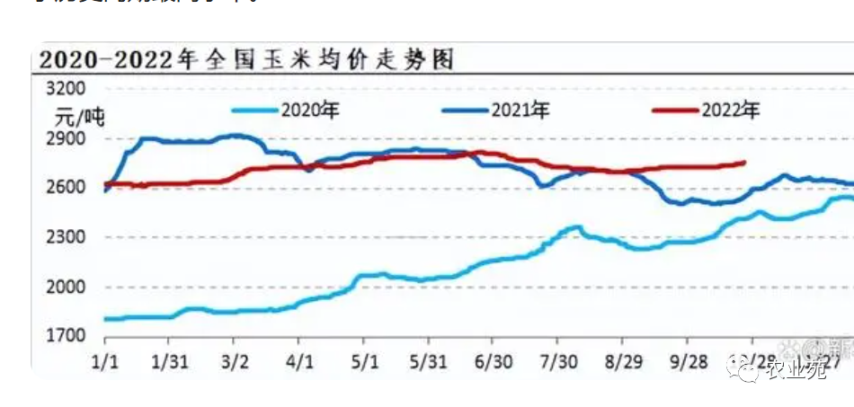 东北玉米价格最新走势解析