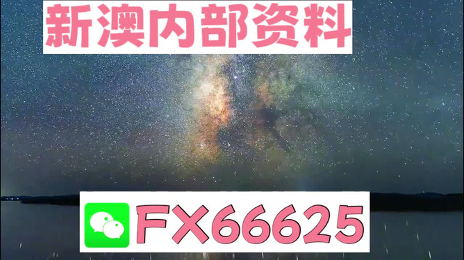 新澳天天彩免费资料大全查询,经典解读说明_android74.839