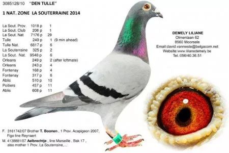 新澳王中王资料大全,连贯性方法评估_5DM67.715