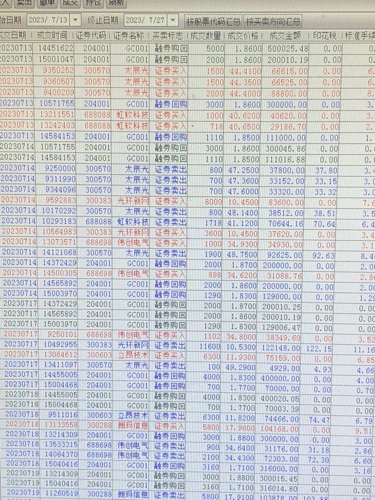 新奥彩294444cm216677,定性解析说明_网红版77.824