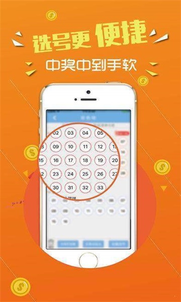 澳门王中王100%期期中一期,实效设计计划_运动版78.612