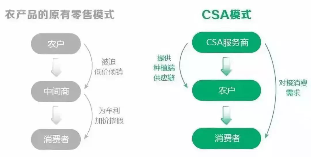 澳门六今晚开什么特马,数据整合策略分析_5DM46.129