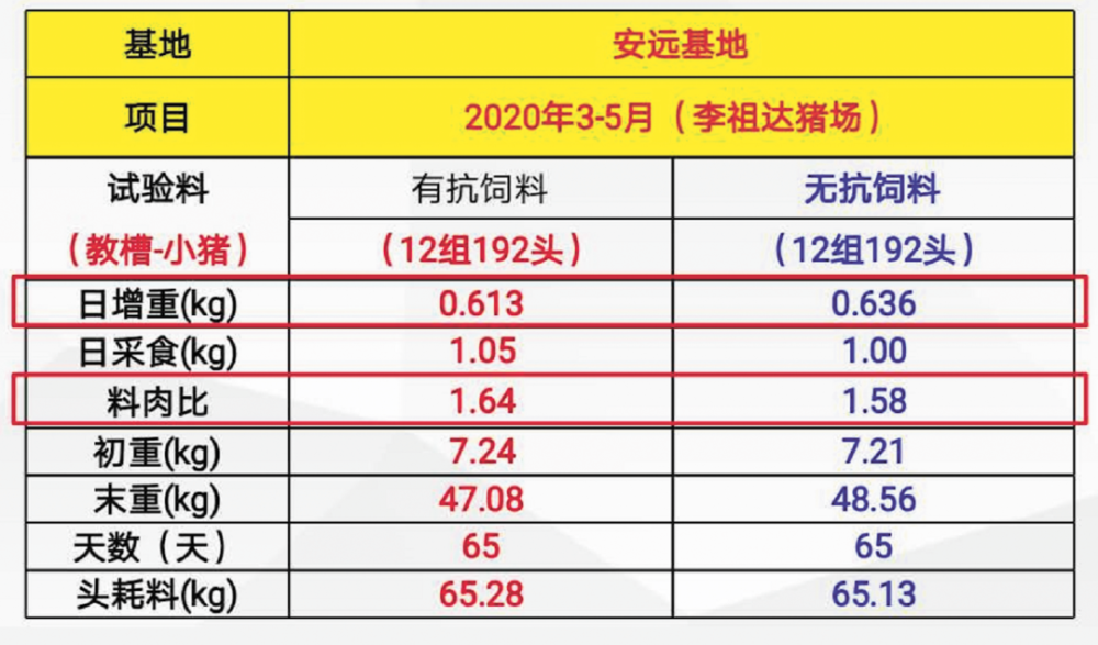 新澳门三中三码精准100%,实地计划设计验证_高级款56.391