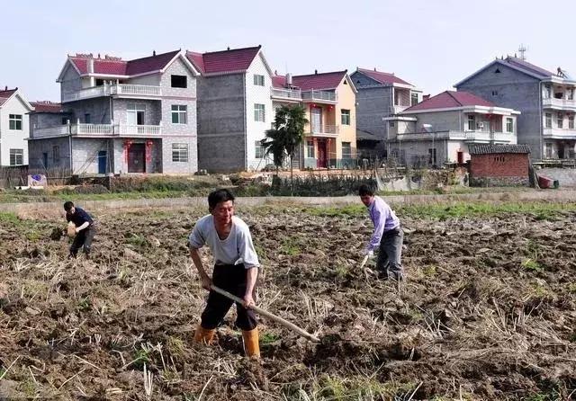 最新土地管理法释义解读