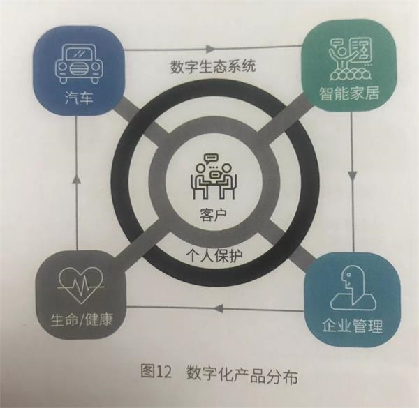 今晚必出三肖,精细化策略落实探讨_M版13.82