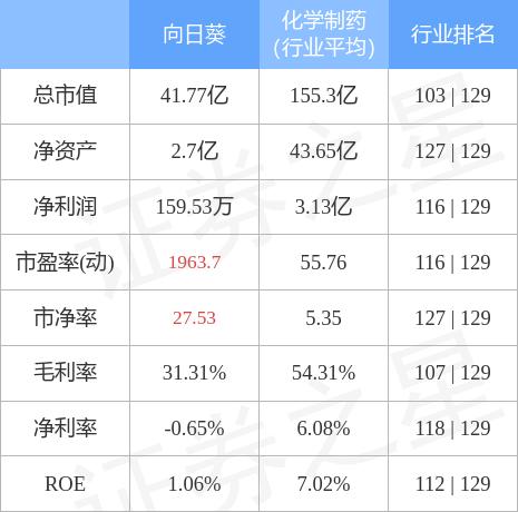 向日葵最新动态揭秘，代号300111的奥秘探索