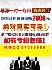 246天天天彩天好彩 944cc香港,经典说明解析_薄荷版74.27