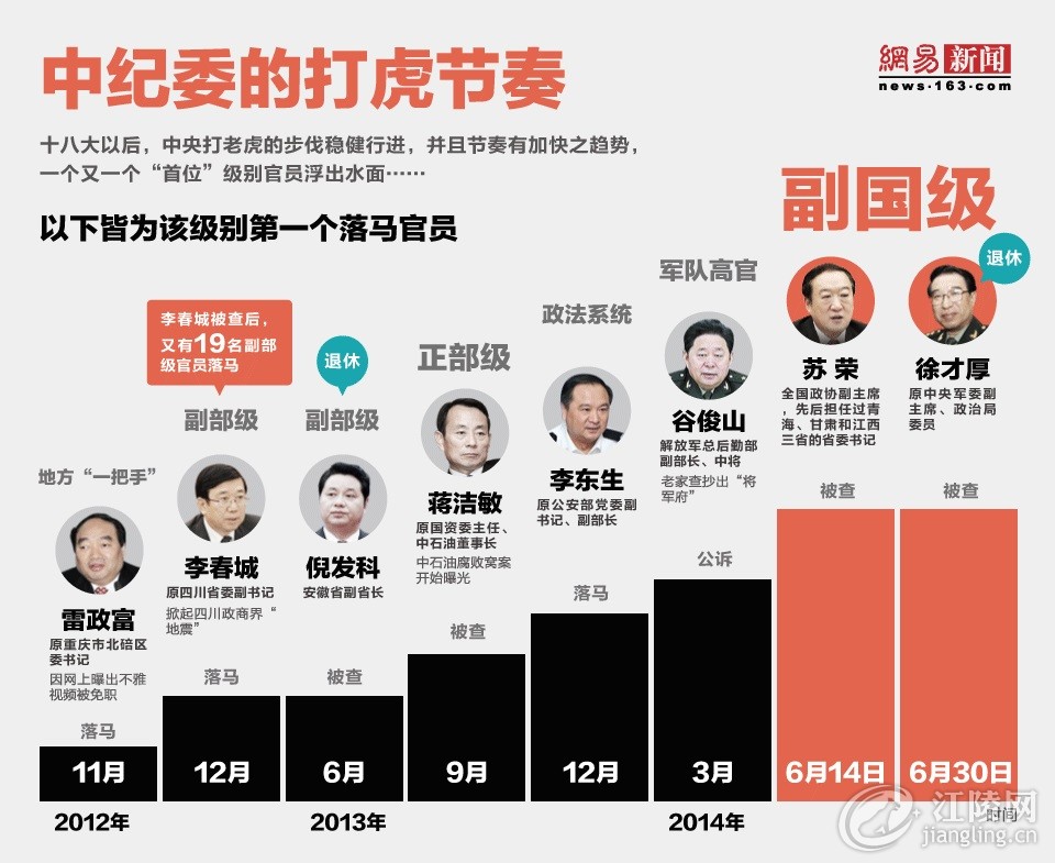 中央深化反腐斗争，打击巨虎，维护社会公平正义的最新消息