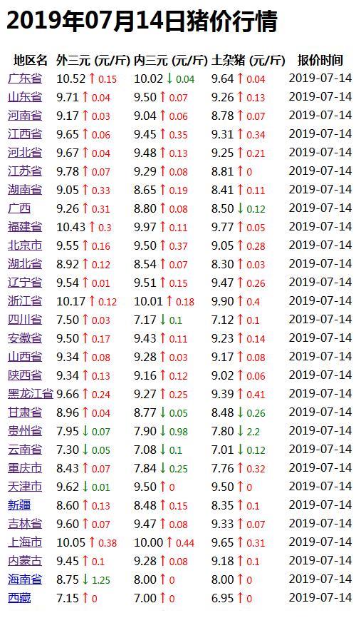 最新猪价行情分析与展望，价格走势及未来趋势解析