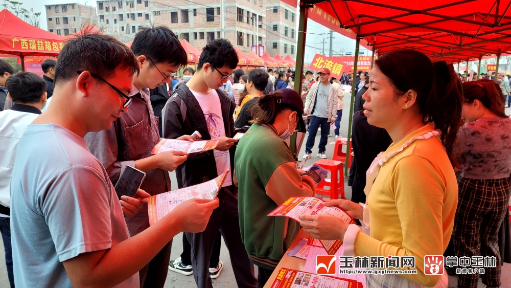 北流人才网最新招聘动态，引领人才流动与行业影响分析