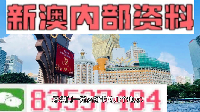 新澳精准资料内部资料,新兴技术推进策略_Premium41.144