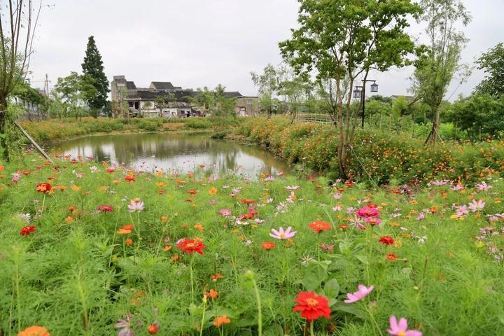 东普村新项目，乡村发展的典范引领之路