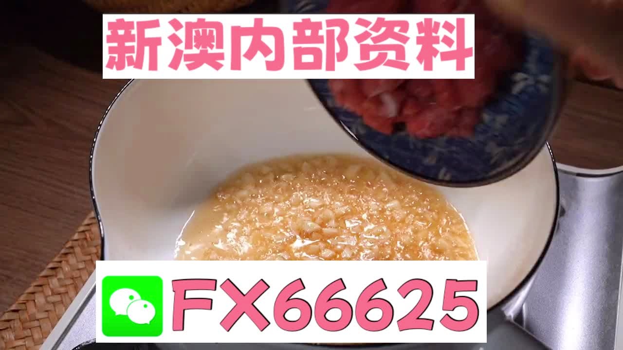 新澳门24码中特精准,效率资料解释落实_soft91.846