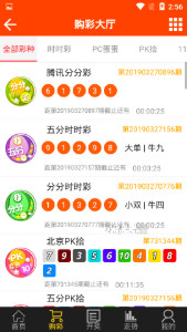 王中王100%期准一肖专家分析,安全性计划解析_tShop93.11