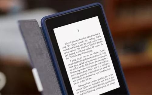 老澳门开奖结果2024开奖,快速方案执行_Kindle98.50