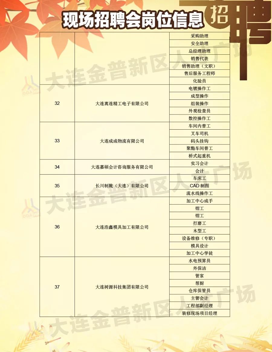 2024年12月11日 第15页