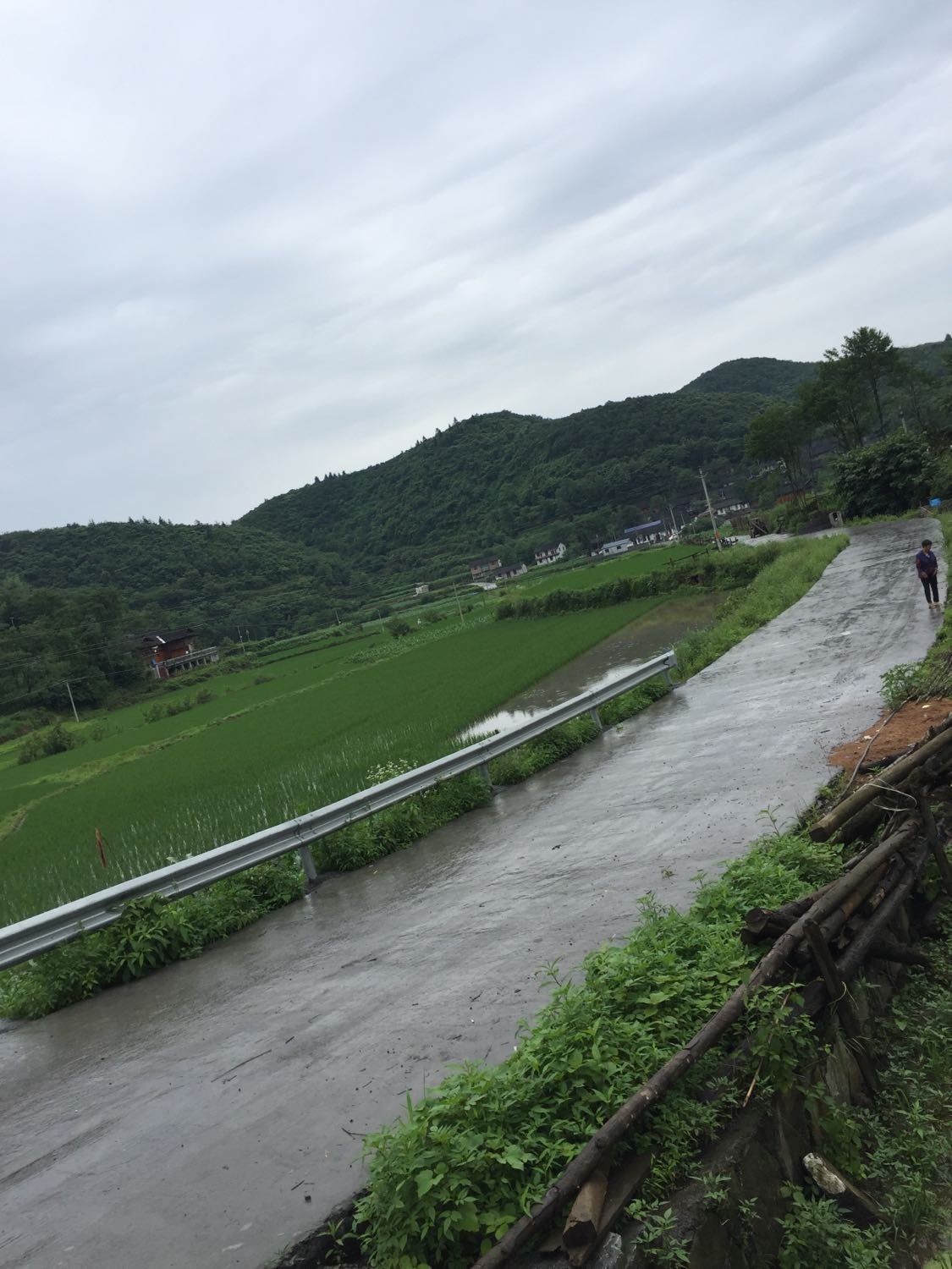 五马乡天气预报更新通知