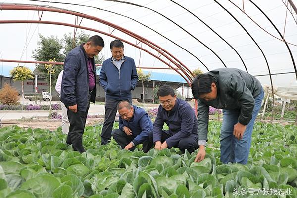 新胜乡未来蓝图，最新发展规划塑造乡村新面貌