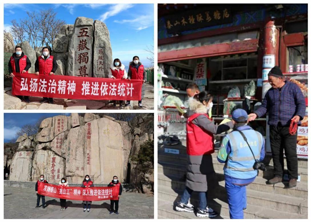 新泰市统计局最新新闻揭秘，数据背后的故事浮出水面