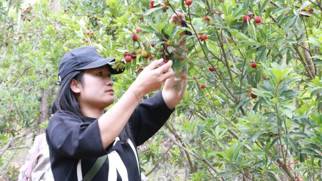 大林场社区最新招聘信息汇总