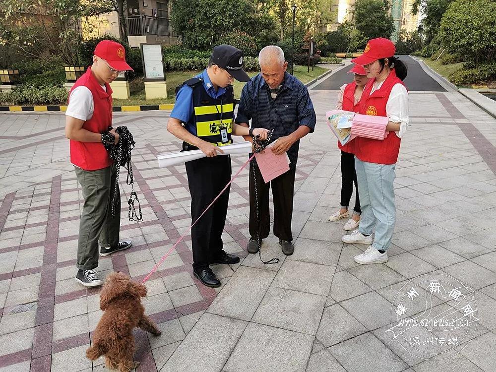 嵊州市自然资源和规划局新项目助力城市可持续发展与生态保护融合共进