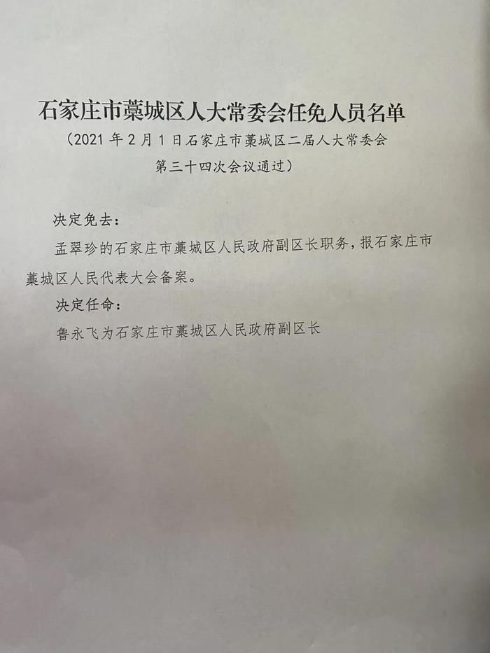 石家庄市档案局人事任命动态更新