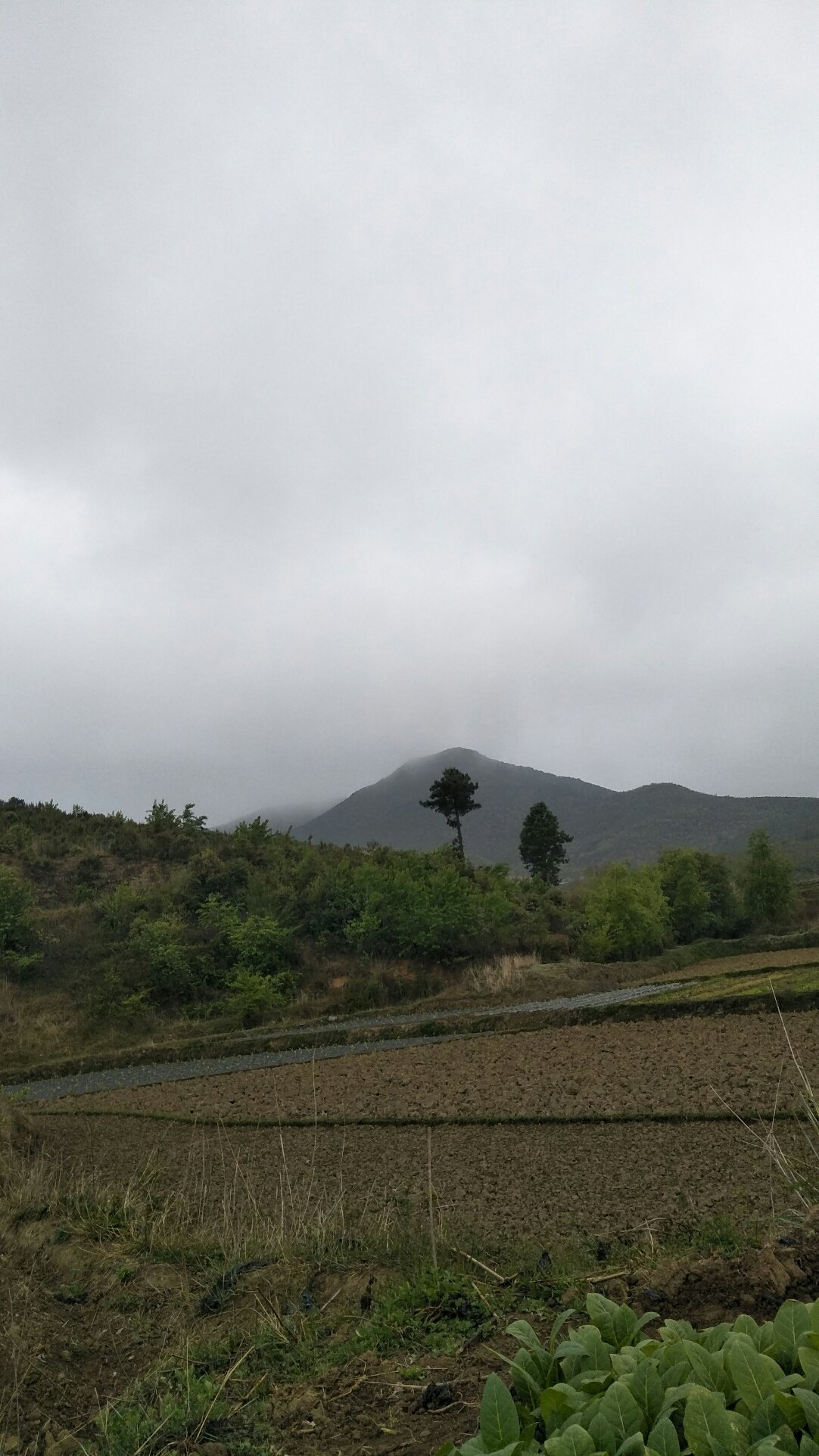 葫芦乡天气预报更新通知