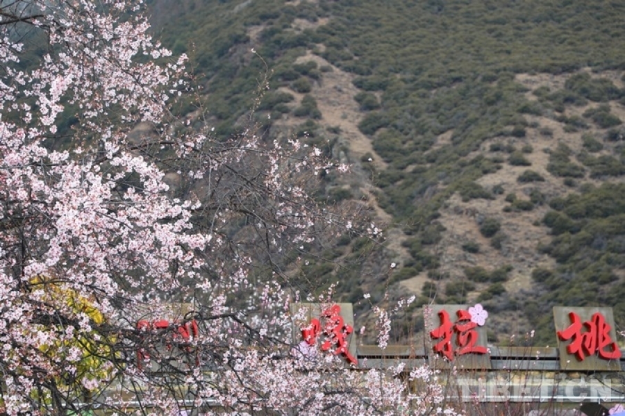 嘎多村交通新篇章，迈向现代化交通发展之路