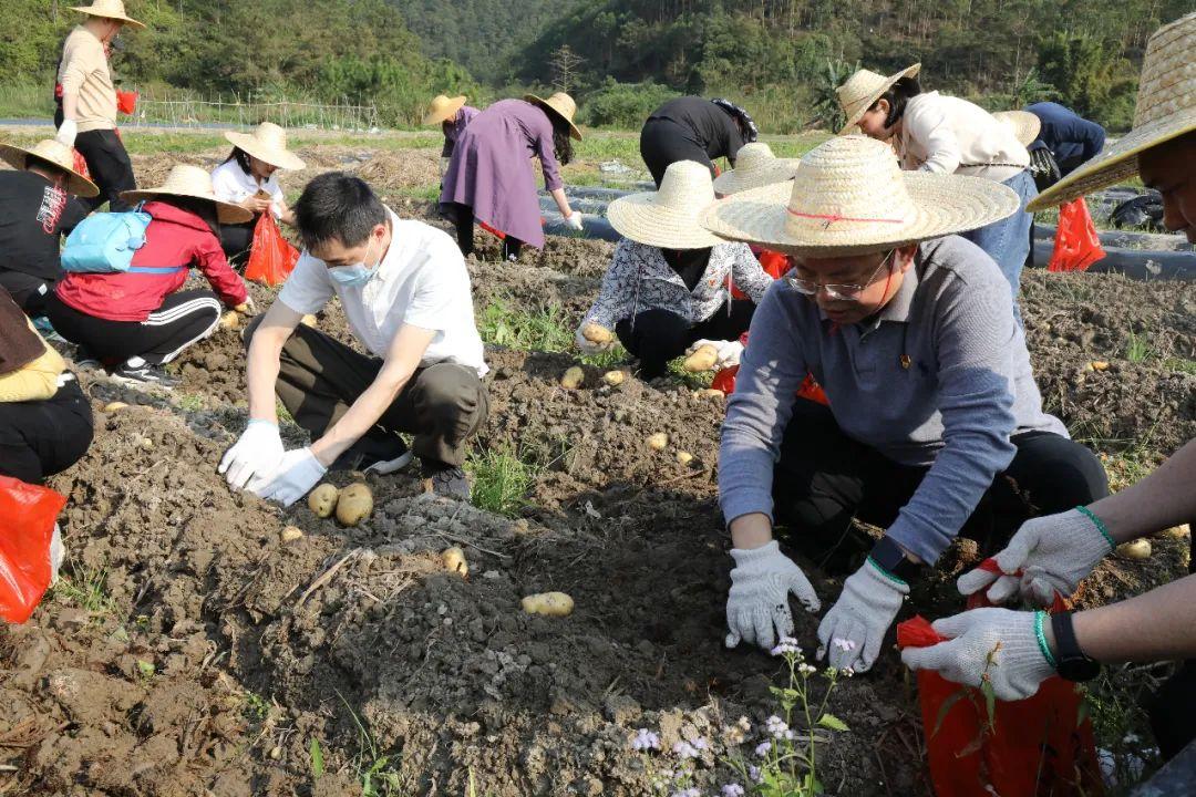 云城区数据和政务服务局最新发展规划深度探讨