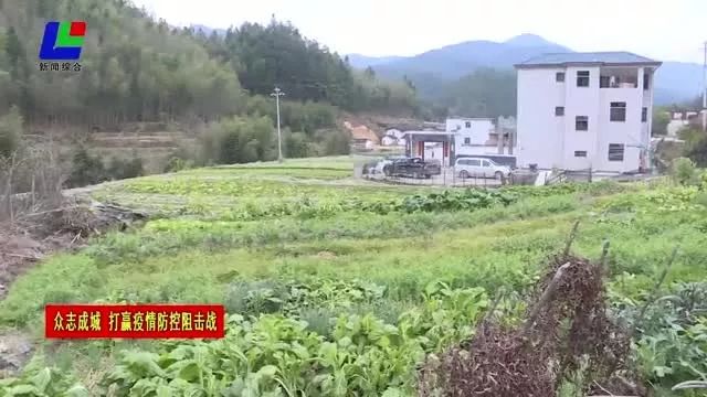 垌美农场最新动态报道