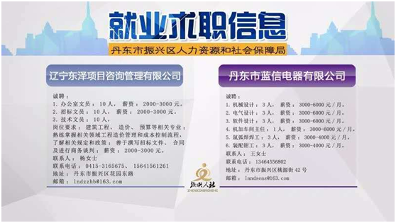 双台子区人力资源和社会保障局最新招聘信息全面解析